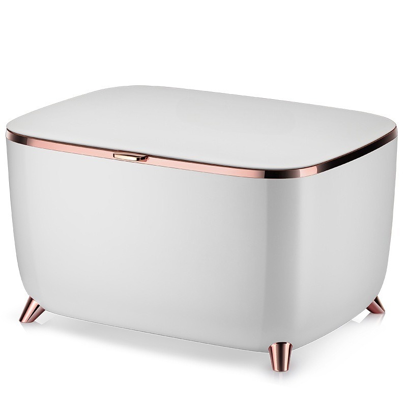 Mini refrigerador de belleza p - Beauty Makeup Fridge reseña y precio