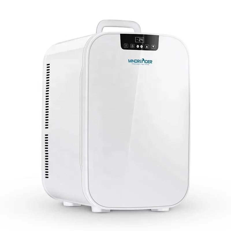 Refrigerador doméstico con pue - Beauty Makeup Fridge reseña y precio