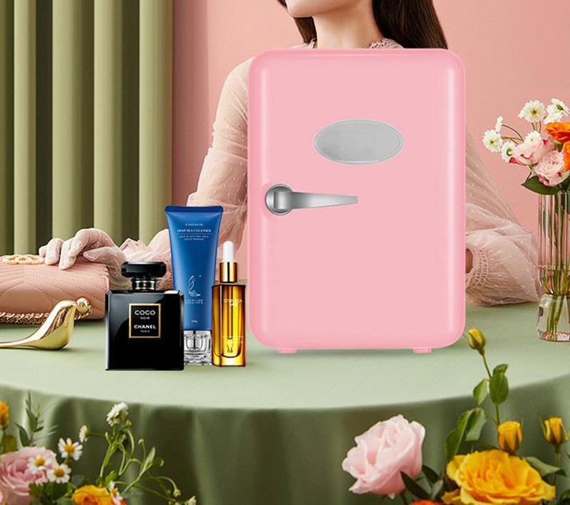 Refrigerador de doble uso de 4 - Beauty Makeup Fridge reseña y precio