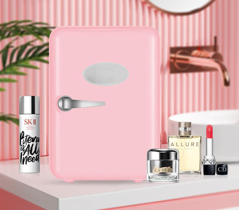 Refrigerador de doble uso de 4 - Beauty Makeup Fridge reseña y precio